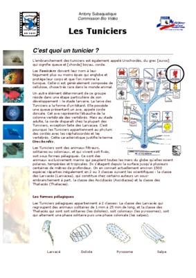 tuniciers Book