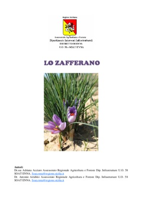 coltivazione dello zafferano Book