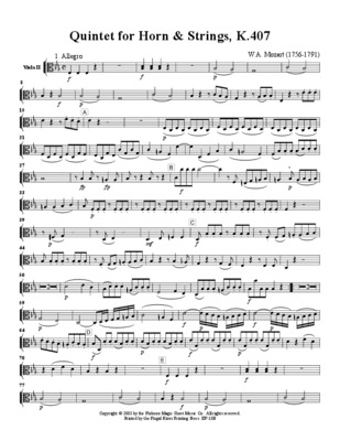 fuzzy strings Book