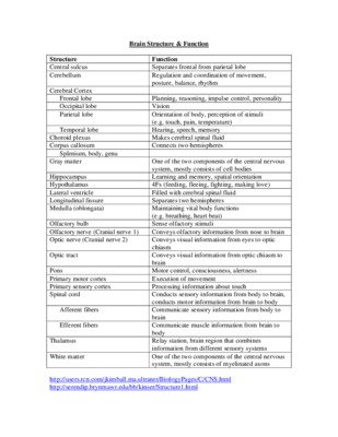 the insects structures and function Book