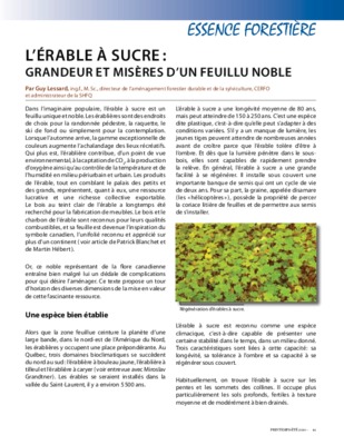 essence forestiere malgache Book