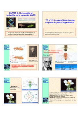 homeotiques Book