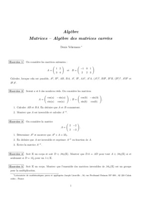 resoudre les matrices en algebre Book