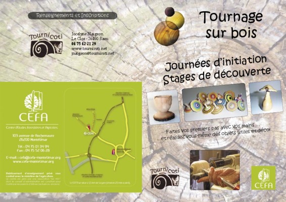 tournage du bois vert Book