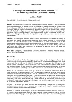 protaetia Book
