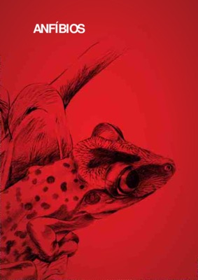 anfibios Book