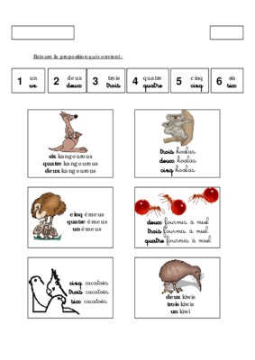 koalas Book