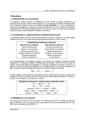 glucolisis lehninger Book