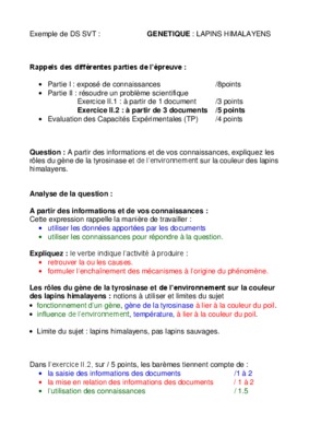 exemple montage de projet de lapins Book