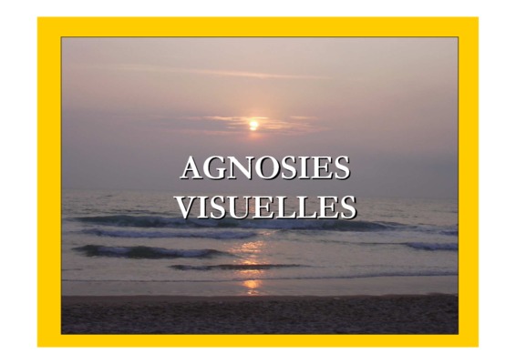 agnosie Book