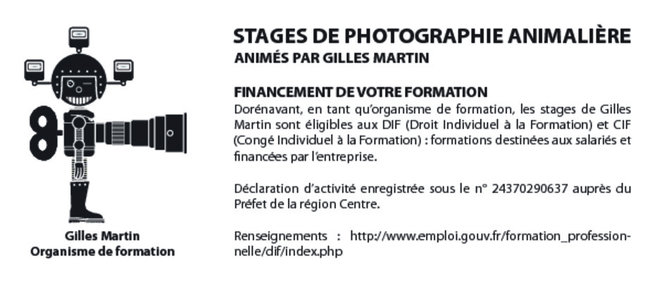 q c m capacite animaliere Book