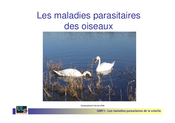 liste des maladies de la volaille et traitement Book