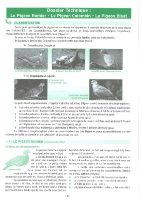 sous ordre des carinates listes des fichiers pdf sous ordre des carinates sous ordre des carinates Book