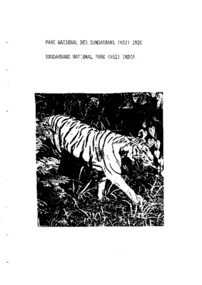 sundarbans Book