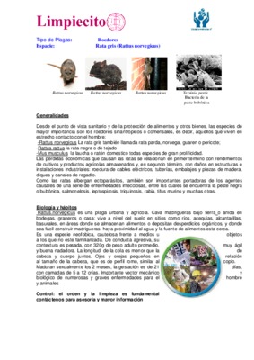 le rat rattus norvai%3F%3Fgicus Book