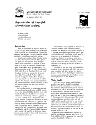 production pterphylum scalare Book