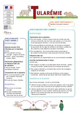 cours agriculture generale Book