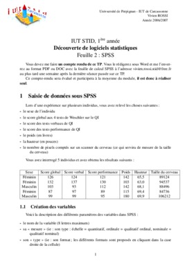 raport de stage du stid 1er annee Book