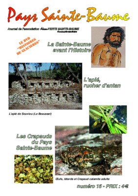 sainte baume Book