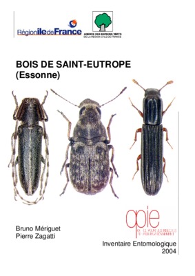 saint bois Book