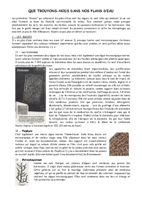 trouvons Book