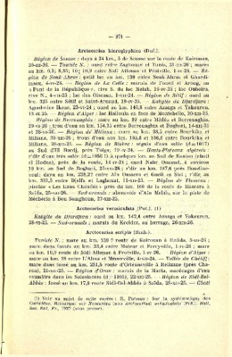 hieroglyphica Book