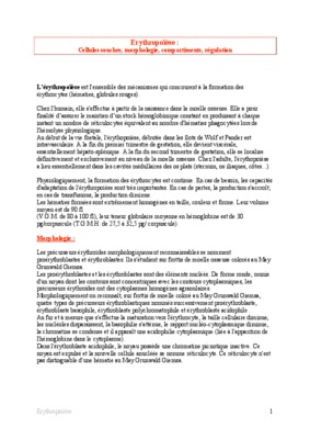 erythropoiese Book