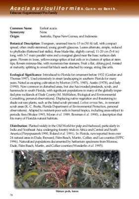 acacia auriculiformis Book