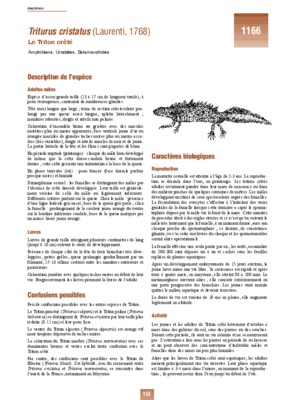 triturus cristatus et mare agricole Book