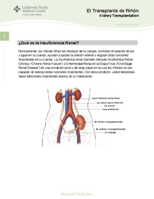 boubnider cpmc Book