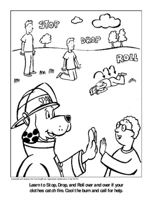 sparky Book