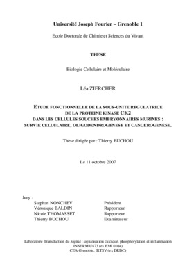 allogreffe des cellules souches hematopoietiques Book
