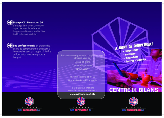 questionnaires bilan competences Book