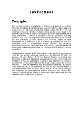 bacterias Book