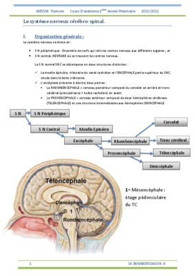 mesencephale Book