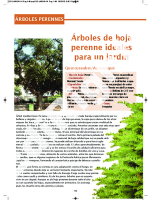 perennes Book