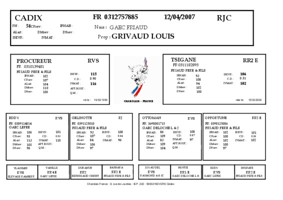 friaud Book