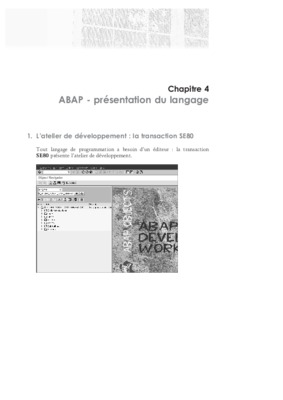 autoformation au langage abap de yann szwe Book