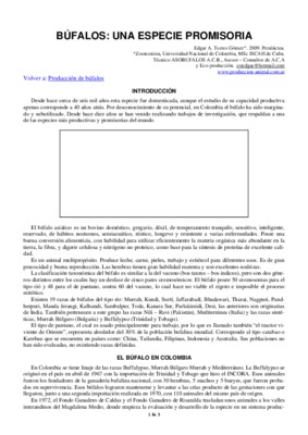 contratos em especie Book