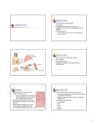 catecholamines Book