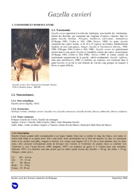 gazella cuvieri 2010 Book