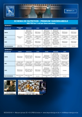 schema premium Book