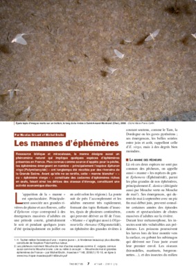 mannes Book