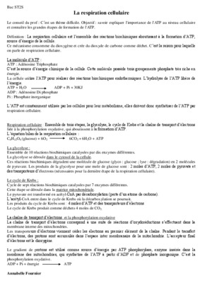 exercices de la respiration cellulaire Book