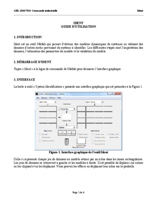ident Book