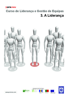 tcc lideranca Book