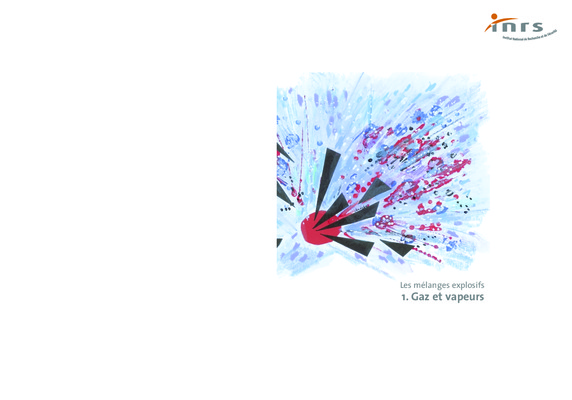 inflammabilite Book