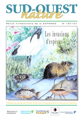 sepanso Book