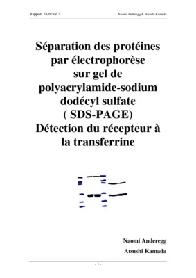 td separation proteines Book