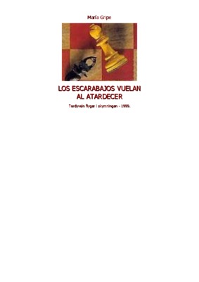 los escarabajos vuelan al atardecer Book